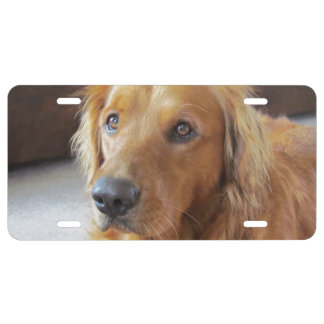 レトリバー Pantoufle Ariat Femme Golden Retriever Lover License Plate Frame