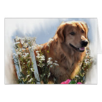 Golden Retriever Lovers Gifts cards