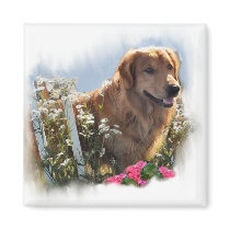 Golden Retriever Lovers Gifts magnets