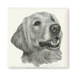 Golden Retriever Fridge Magnet