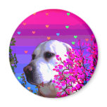 Golden Retriever Magnets