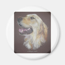 Golden Retriever Magnets