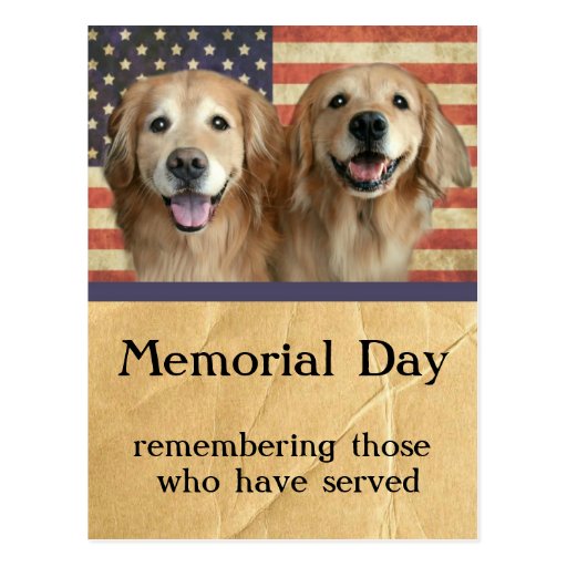 golden retriever memorial golden retriever memorial day postcard zazzle golden retriever memorial golden retriever memorial day postcard zazzle