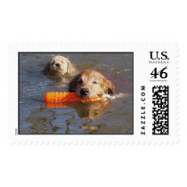 Golden Retriever Mom & Pup Postage