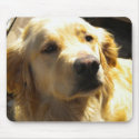 Golden Retriever Mousepad by Veroshi Golden Retriever Mousepad