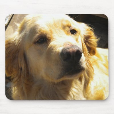 Golden Retriever Mousepad by Veroshi