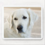 Golden Retriever Mouse Pad