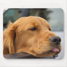 Golden Retriever Mousepad