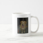 Golden Retriever mugs