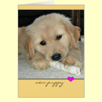 Golden Retriever "New Puppy" Greeting Card cards