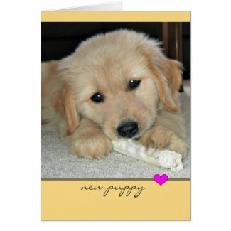 Golden Retriever "New Puppy" Greeting Card