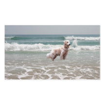 Golden Retriever On Beach Breeder Business Card