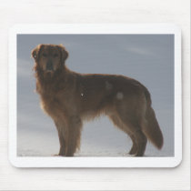 GOLDEN RETRIEVER ON THE SNOWY BARREN HORIZON MOUSEPADS