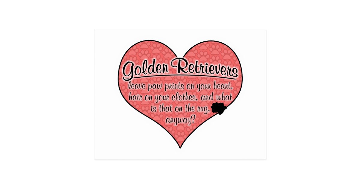 golden retriever paw print golden retriever paw prints humor postcard zazzle golden retriever paw print golden retriever paw prints humor postcard zazzle