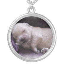 Golden retriever, perrito collares personalizados