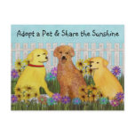 Golden Retriever Pet Adoption Postcard