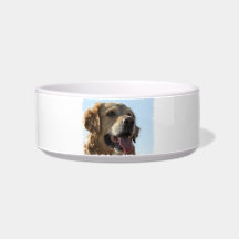 Golden Retriever Pet Bowl
