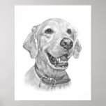 Golden Retriever Pet Portrait Drawing Print
