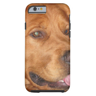 golden retriever phone golden retriever iphone 6 6s cases cover designs zazzle golden retriever phone golden retriever iphone 6 6s cases cover designs zazzle