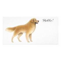 Golden Retriever Photo Card photo cards