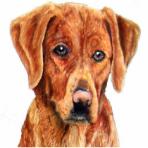 Golden Retriever Photo Sculpture photo sculptures