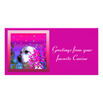 Golden Retriever photo cards by orsobear Golden Retriever photo cards