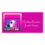 Golden Retriever photo cards