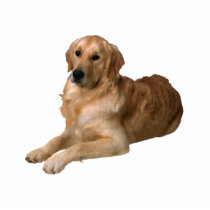 Golden Retriever photo sculptures