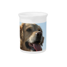 Golden Retriever Pitcher