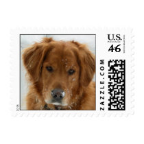 Golden Retriever Playing in the Snow postage by LibbyB81 Golden Retriever Playing in the Snow postage