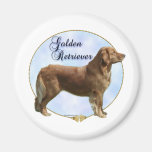 Golden Retriever Portrait - Magnet
