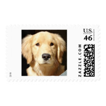 Golden Retriever Postage