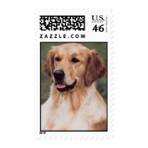 Golden Retriever postage by freespiritdesigns Golden Retriever postage