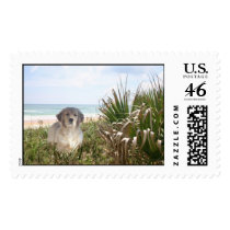 Golden Retriever Postage Purfect Puppy
