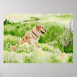 Golden Retriever Print