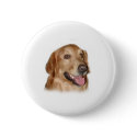 golden retriever profile buttons by Designs_by_Tina golden retriever profile buttons