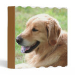 Golden Retriever Pup Binder binders