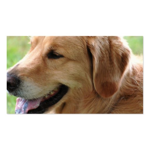 Golden Retriever Pup Business Cards (back side)