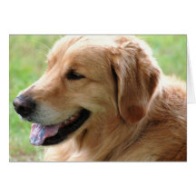Golden Retriever Pup Greeting Card