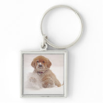 Golden Retriever Pup in Snow Key Chain