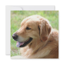 Golden Retriever Pup Invitations