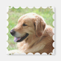 Golden Retriever Pup Magnet