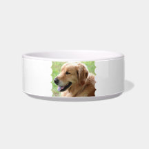 Golden Retriever Pup Pet Bowl