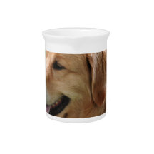 Golden Retriever Pup Pitcher