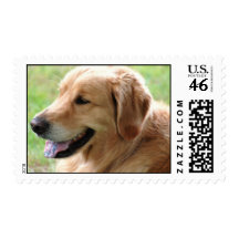 Golden Retriever Pup Postage Stamp