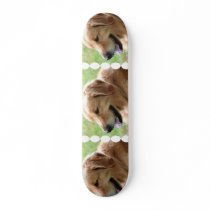 Golden Retriever Pup Skateboard