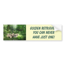 Golden Retriever Puppies Bumper Sticker bumper stickers