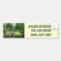 Golden Retriever Puppies Bumper Sticker
