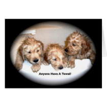 Golden Retriever Puppies in the Tub cards