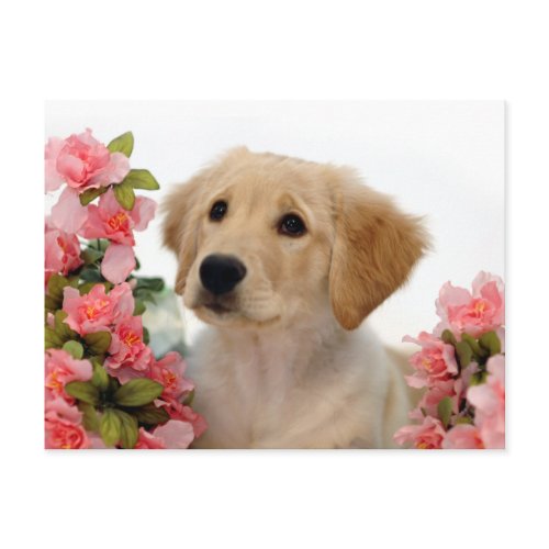 Golden Retriever Puppy and Pink Flowers postcard